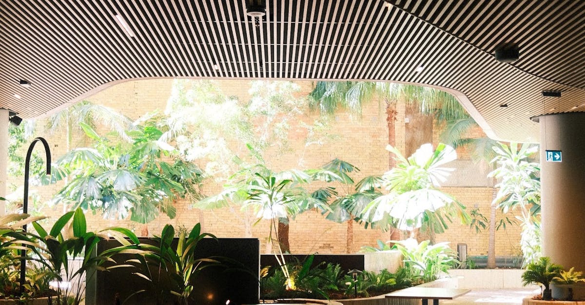 Monochrome Palettes: A Sleek Approach to Design